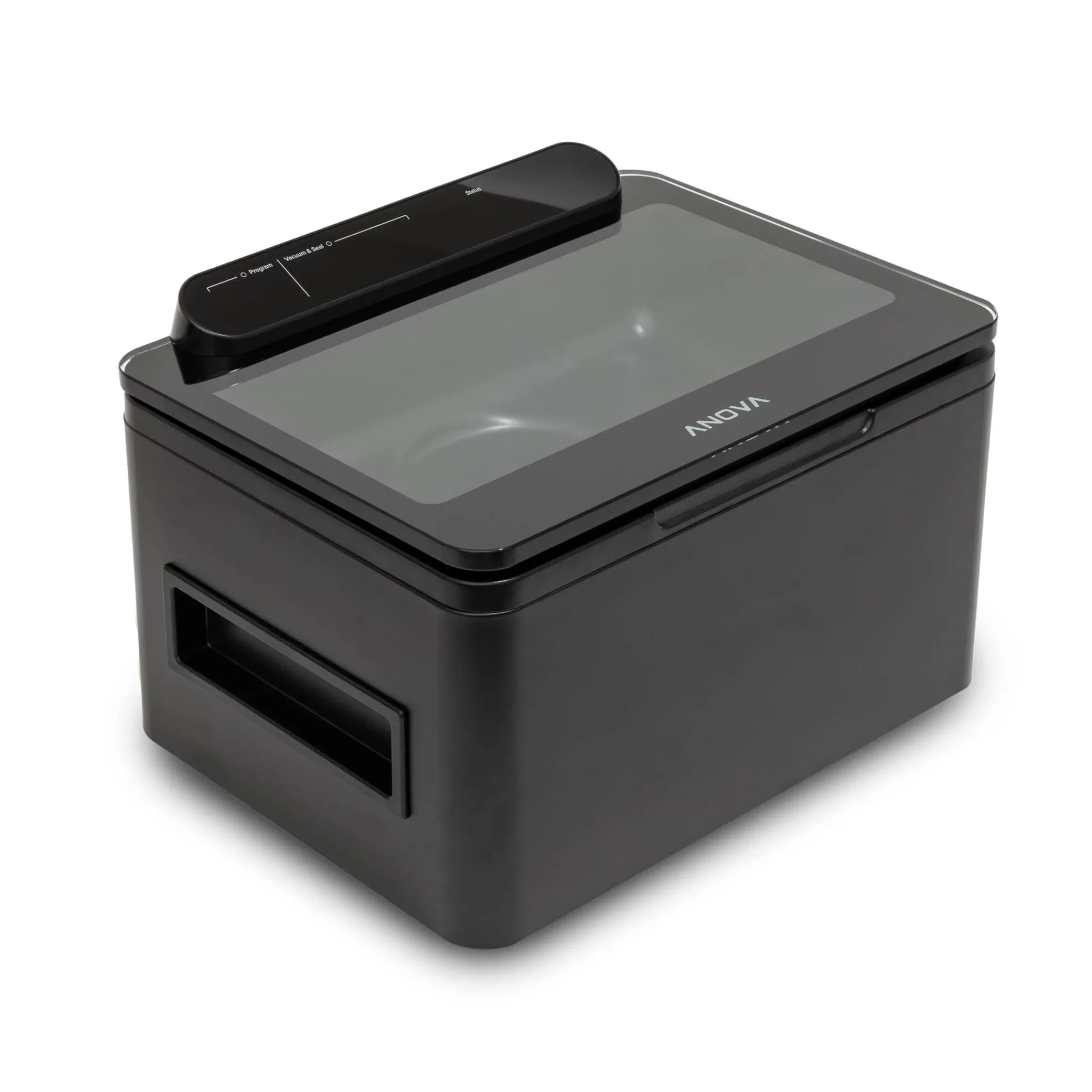 Anova Precision Chamber Vacuum Sealer Best