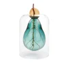 Balvi Avocado Seed Glass Vase Hot