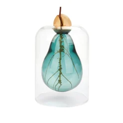 Balvi Avocado Seed Glass Vase Hot