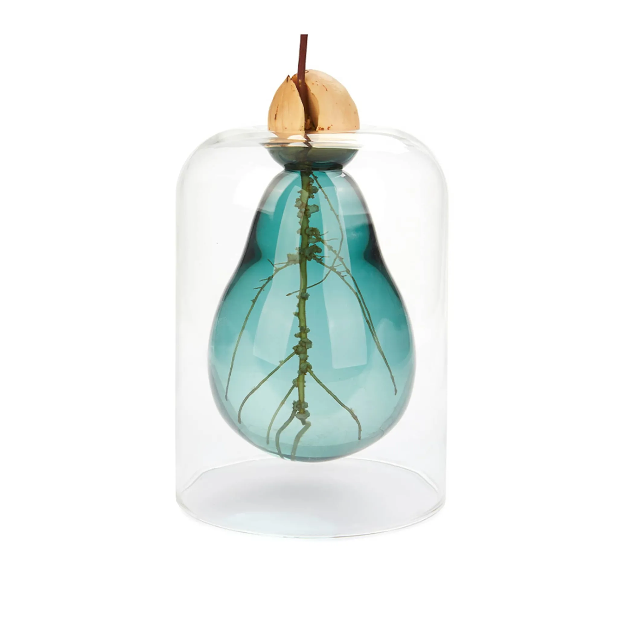 Balvi Avocado Seed Glass Vase Hot