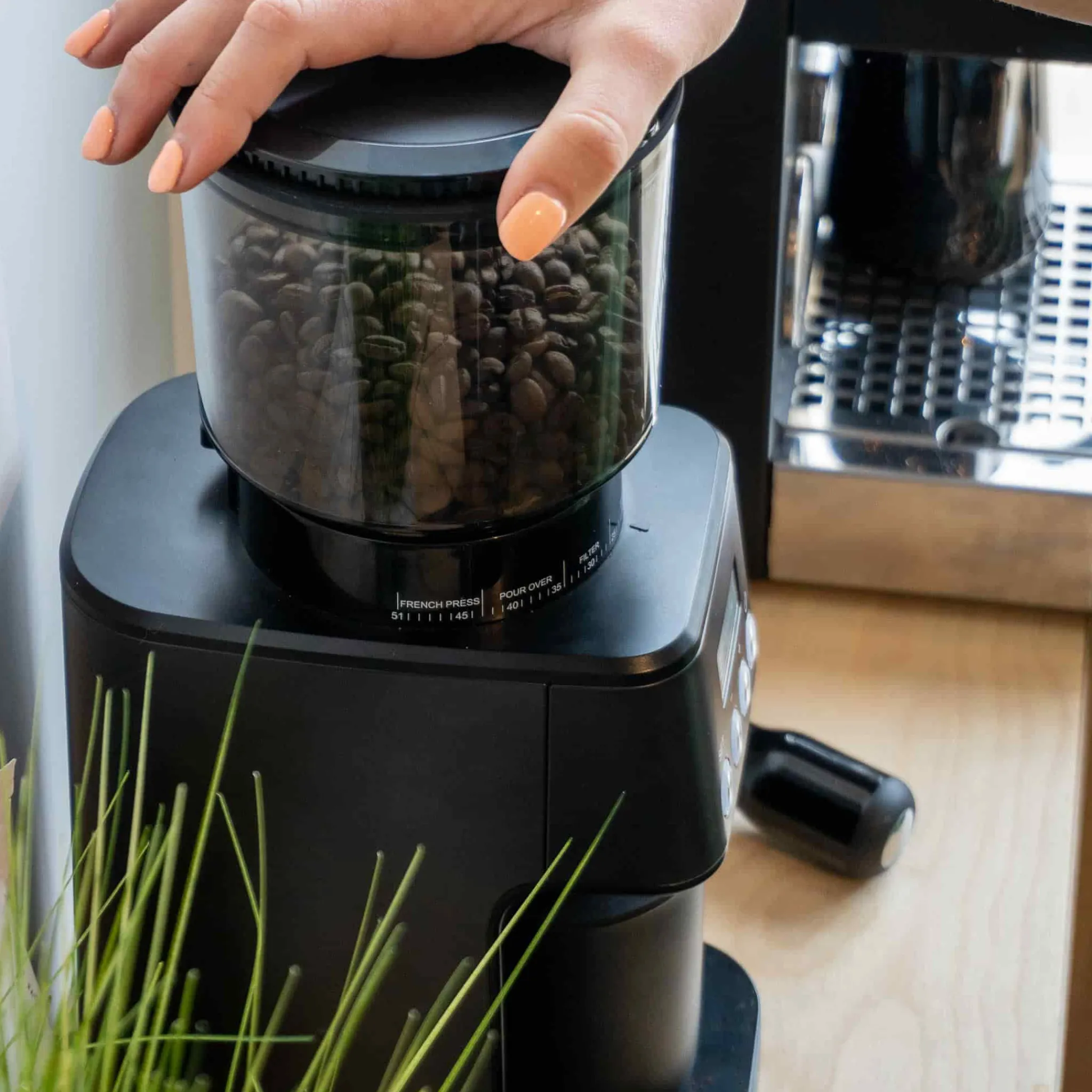 Barista & Co Core All Grind Plus Sale