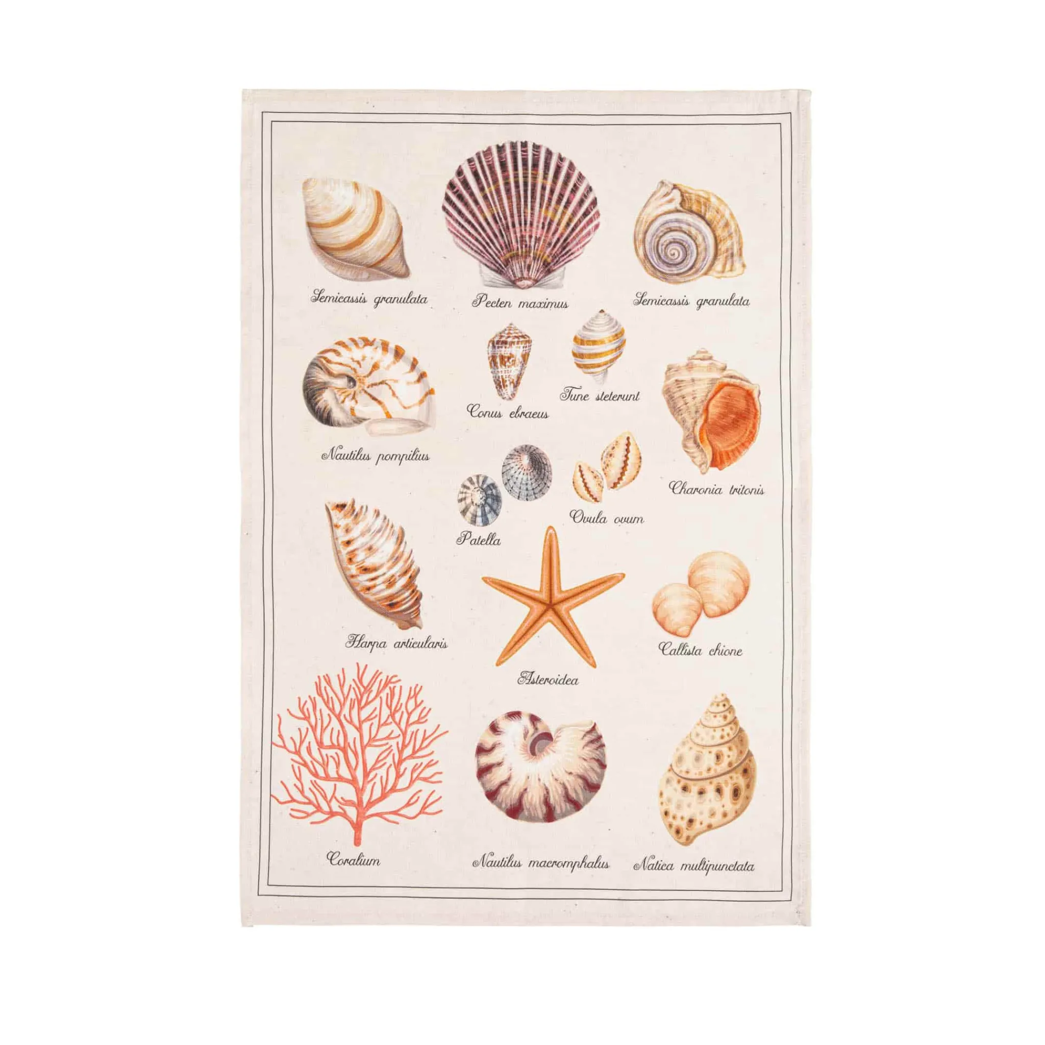 Coucke French Tea Towel - Tresors de la Mer Outlet