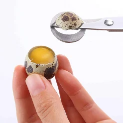 JKC Japanese Quail Egg Scissors Online