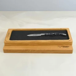 Laguiole en Aubrac Mussel Shell Handle Oyster Knife Sale