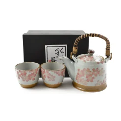 Kiji Stoneware & Ceramics Sakura Blossom Tea Set For Two Best