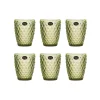 Bright Glassware Set of 6 Green Diamond Tumblers, 270ml Clearance
