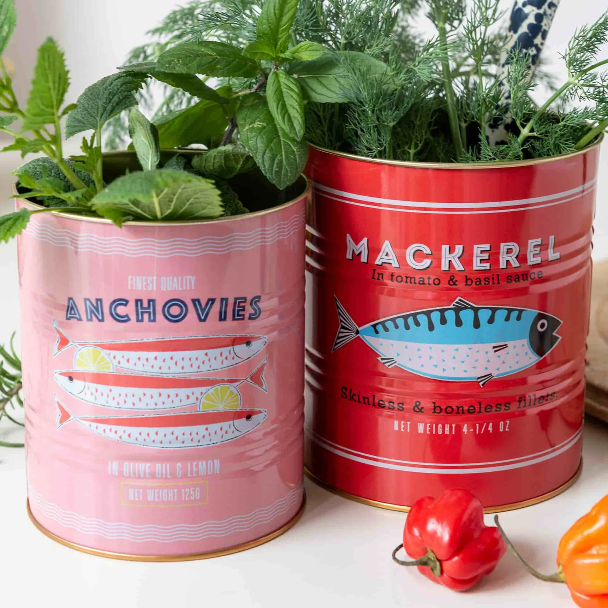 Rex London Set of 2 Mackerel & Anchovies Utensil Jars