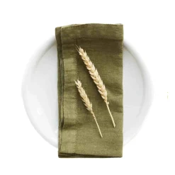 Linen Tales Set of 2 Olive Linen Napkins Online