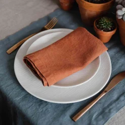 Linen Tales Set of 2 Rust Linen Napkins Discount