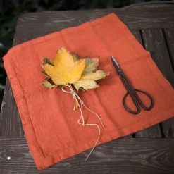 Linen Tales Set of 2 Rust Linen Napkins Discount