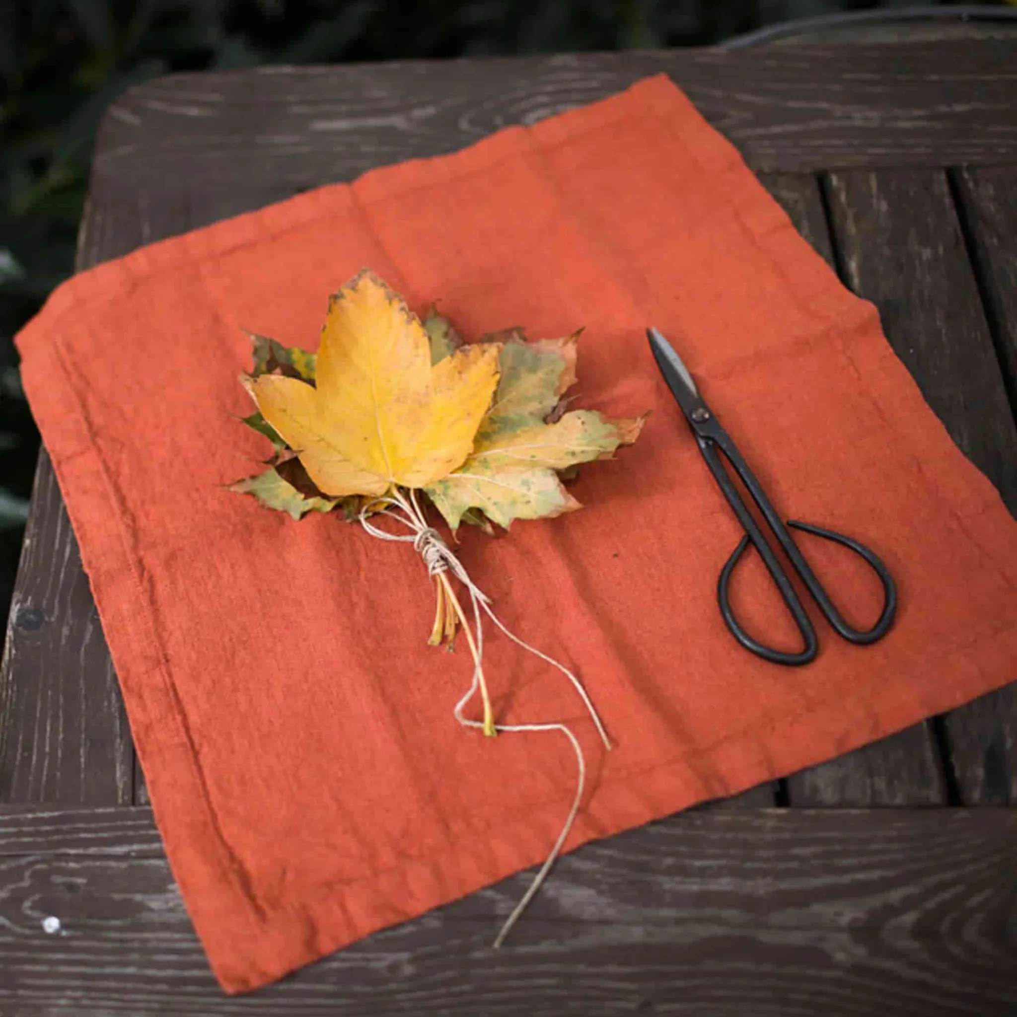 Linen Tales Set of 2 Rust Linen Napkins Discount