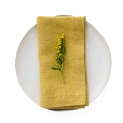 Linen Tales Set of 2 Yellow Linen Napkins New