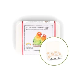 Chocolate Detective The 12 Rainbow Lovebird Chocolate Eggs, 150g Sale