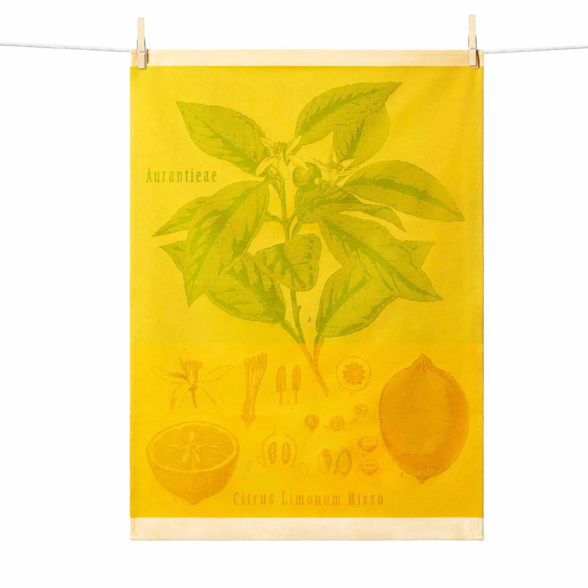 Tissage Moutet Citrus French Jacquard Tea Towel Clearance