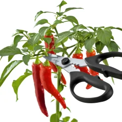 Triangle Take Apart Kitchen & Herb Scissors Outlet